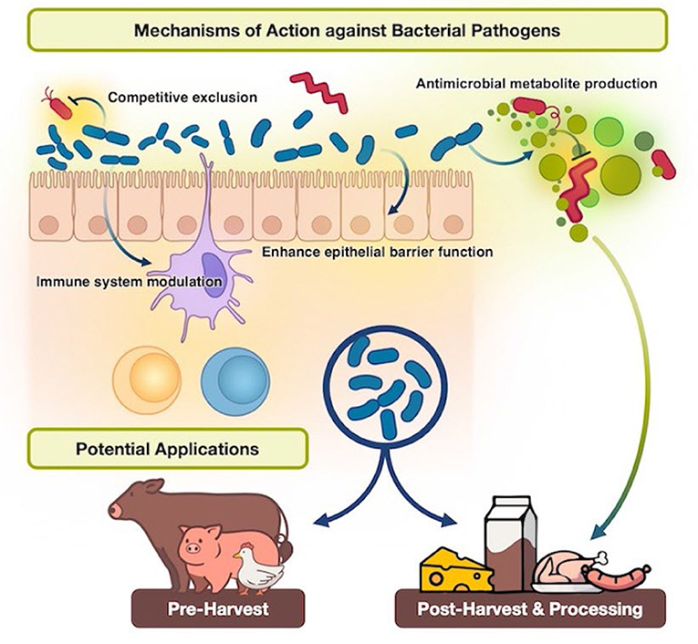 Review_Grace&amp;Johny